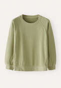 Raglan-sleeve top, Pale sage, webstill